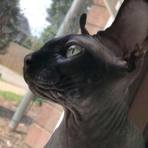 Meet your Posher, Becky